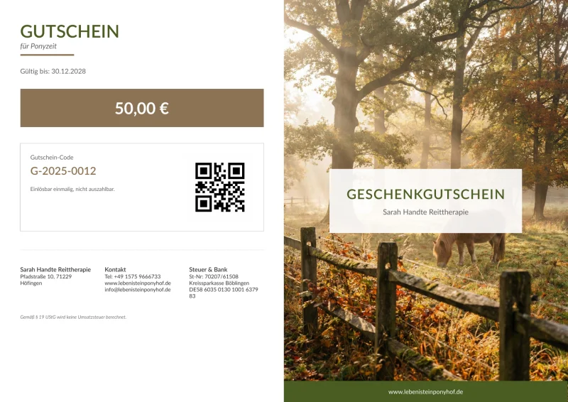 Pony hinter Holzzaun im goldenen Herbstnebel